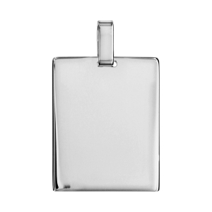 PLAQUE GI GRD MD 29X23 ARGENT