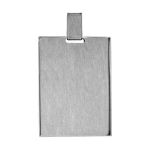 GROSSE PLAQUE GI  39*29mm FINITION VA