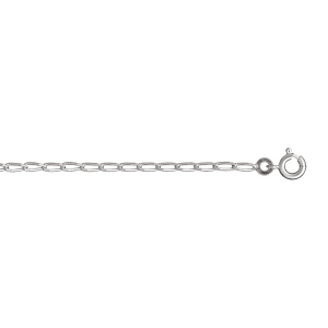CHAINE CHEVAL 2MM 50CM ARGENT