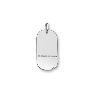 PLAQUE ARGENT RHODIÉ G I TROUEE MOYEN MODELE