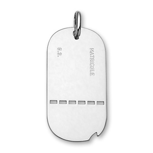 PLAQUE G I TROUEE / MATRICULE GS  ARGENT GRAND MODELE