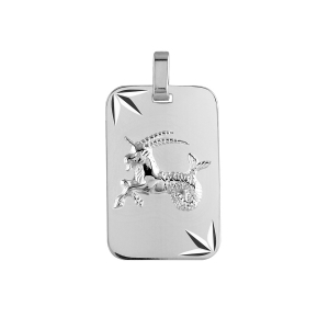 PENDENTIF ZODIAQUE PLAQUE GI CAPRICORNE ARGENT RHODIÉ DIAMANTÉ ETOILE