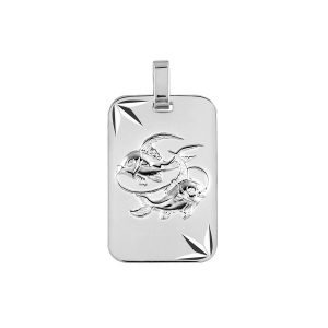 PENDENTIF ZODIAQUE PLAQUE GI  POISSON ARGENT RHODIÉ DIAMANTÉ ETOILE