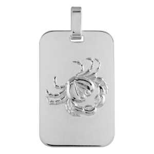 PENDENTIF ZODIAQUE PLAQUE GI CANCER ARGENT RHODIÉ BRILLANT