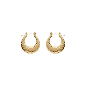 CRÉOLES ACIER PVD DORÉ FORME CROISSANT STRILLÉE 22MM