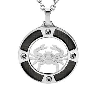 COLLIER ACIER PENDENTIF ROND ZODIAQUE CANCER ASPECT BOIS NOIR ET VIS CRUCIFORME 50+5CM