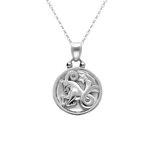 COLLIER ACIER MEDAILLE 15MM ZODIAQUE CAPRICORNE RECTO VERSO CONSTELLATION  40+10CM