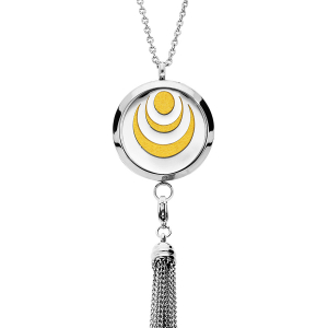 COLLIER SENTEUR ACIER MEDAILLON CERCLES ET POMPON 12 MOUSSES INTERCHANGEABLES COULEURS ASSORTIES RÉGLABLE 45 A 65CM