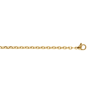 CHAINE ACIER ET PVD DORÉ MAILLE FORCAT EN 3 MM  50CM