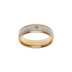 BAGUE ACIER ET PVD DORÉ AVEC 1 OXYDE 6MM