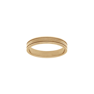 BAGUE ACIER ET PVD DORÉ 4MM