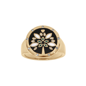 BAGUE ACIER ET PVD DORÉ STELLA MIA RONDE AVEC RÉSINE