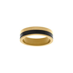 BAGUE ACIER DORÉ ET PVD NOIR 6MM