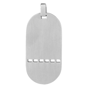 PLAQUE ACIER GI TROUEE MATRICULE