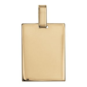PLAQUE GI 19*26  VERMEIL