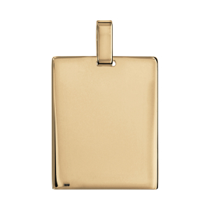 PLAQUE GI GRD MODELE VERMEIL