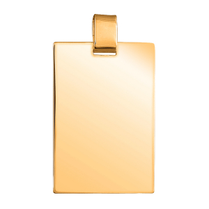 GROSSE PLAQUE GI XL 40*58mm VERMEIL