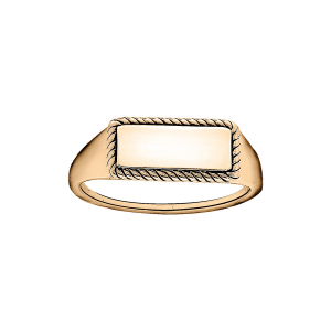 CHEVALIERE VERMEIL RECTANGULAIRE CADRE PERLÉ