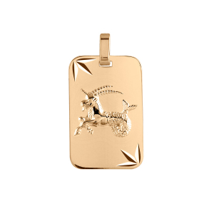 PENDENTIF ZODIAQUE PLAQUE GI CAPRICORNE VERMEIL DIAMANTÉ ETOILE