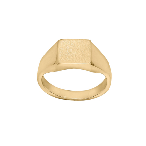 CHEVALIERE CARRÉE  VERMEIL
