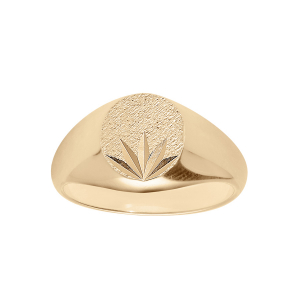 CHEV. OVALE 10*08 ETOILE VERMEIL