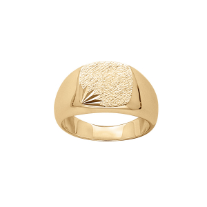 CHEVALIERE VERMEIL MOYEN PLATEAU CARRÉ DIAMANTAGE ETOILE