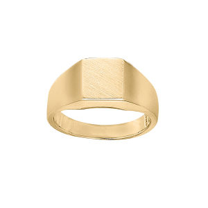 CHEV. RECTANGLE 10*08   VERMEIL