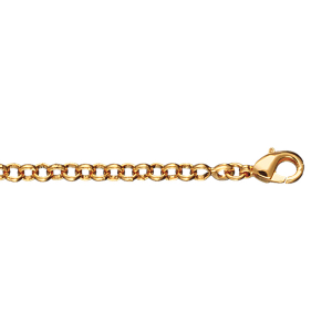 BRACELET PLAQUÉ OR GROSSE JASERON 19CM
