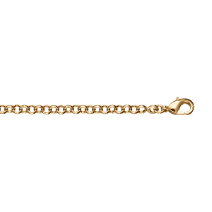 BRACELET PLAQUÉ OR GROSSE JASERON 19CM