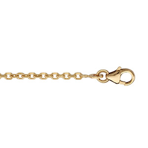 CHAINE FORCAT 2MM 50CM PLAQUÉ OR