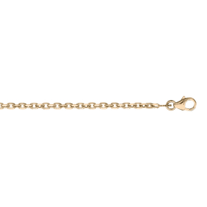 CHAINE FORCAT 2.3MM 50CM PLAQUÉ OR
