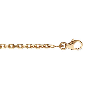 CHAINE FORCAT 2.3MM 55CM PLAQUÉ OR