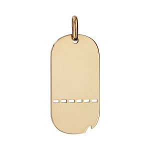 PLAQUE G I TROUEE / MATRICULE GS  PLAQUÉ OR MOYEN MODELE