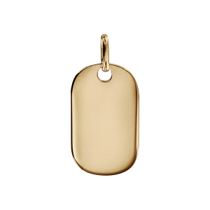PLAQUE GI PLAQUÉ OR PETIT MODELE 13X22 ENFANT PANS ARRONDI