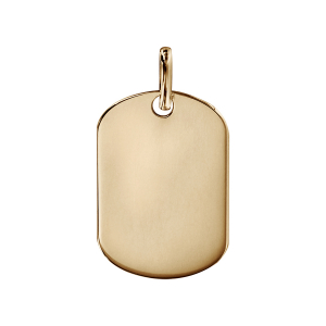 PLAQUE GI PLAQUÉ OR MOYEN MODELE 16x23MM PANS ARRONDIS