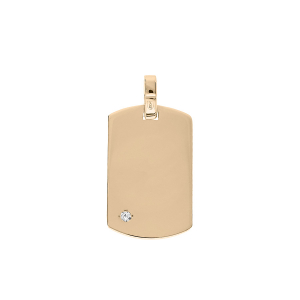 PENDENTIF PLAQUÉ OR PLAQUE GI 20*11MM  OXYDE BLANC SERTI