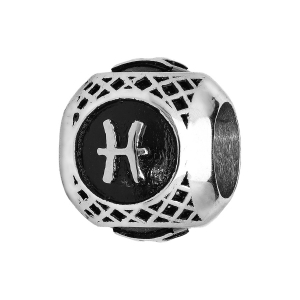 CHARMS ACIER BOULE ZODIAQUE POISSON PATINE NOIRE