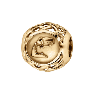 CHARMS COULISSANT VERMEIL ZODIAQUE VERSEAU