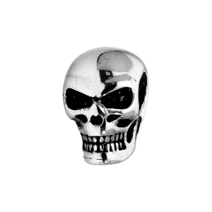 CHARMS ACIER MEDIUM TETE DE MORT
